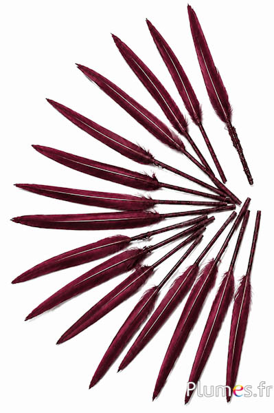 Gans - 5-8 cm - bordeaux